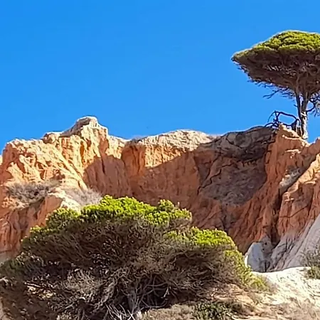 Casa Linda Da Do Alfamar Σπίτι διακοπών *